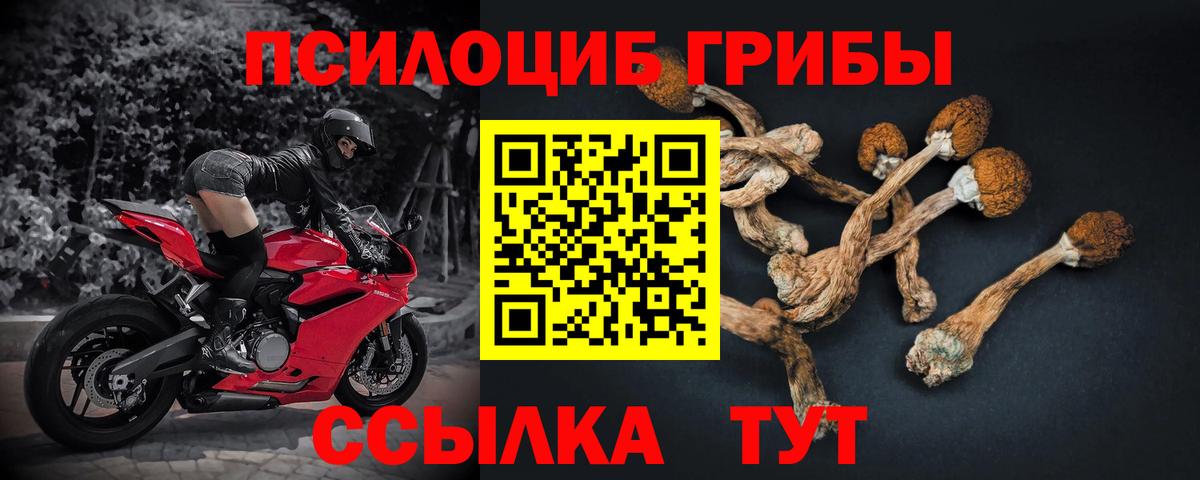 МЕФ кристаллы  ГАШ  Можайск  Вход с VPN  МАРИХУАНА 